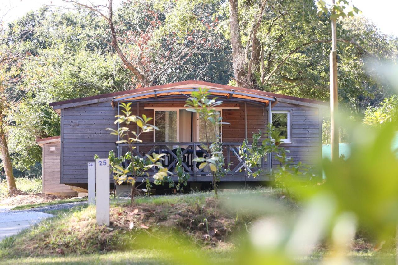 Camping Le Ruisseau Saint-André-de-Seignaux Exteriör bild