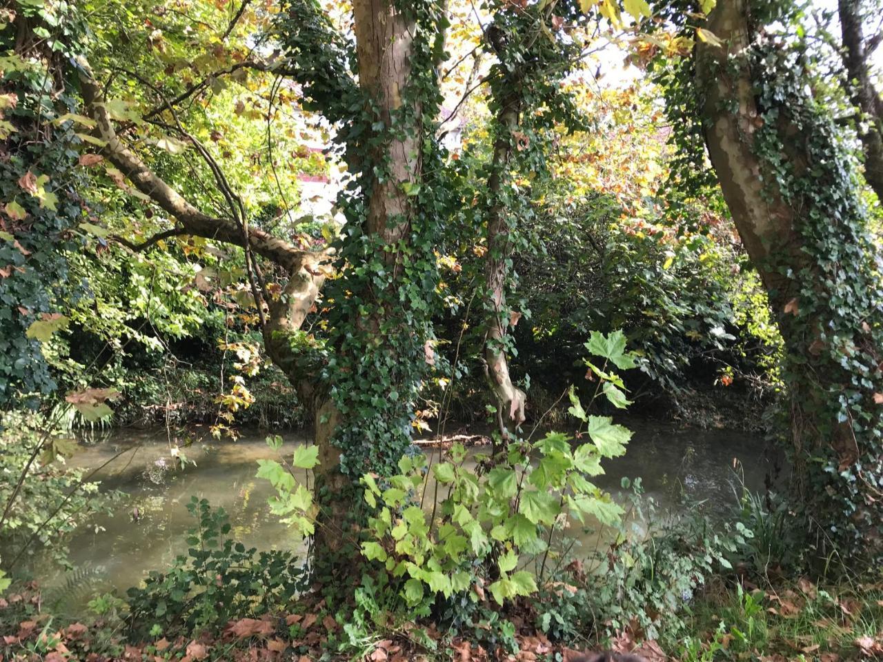 Camping Le Ruisseau Saint-André-de-Seignaux Exteriör bild