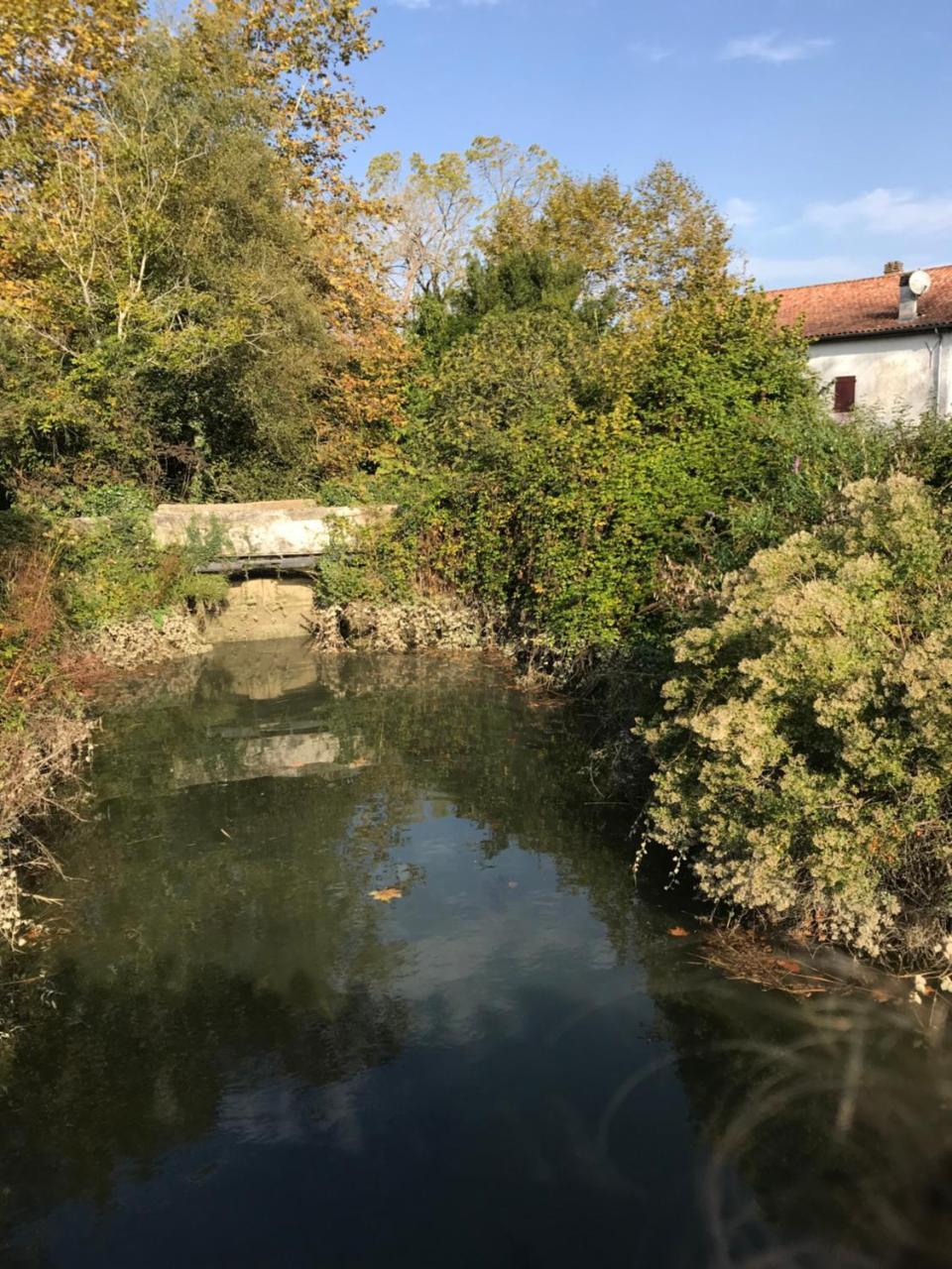 Camping Le Ruisseau Saint-André-de-Seignaux Exteriör bild